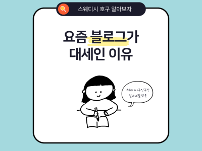 스웨디시 호구의 일반적인 의미